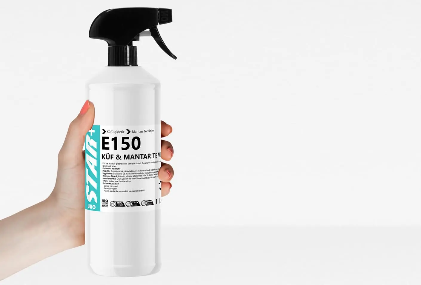 küf ve mantar giderici mold and mildew remover